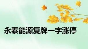 永泰能源复牌一字涨停