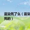 蓝染死了么（蓝染怎么死的）