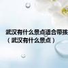 武汉有什么景点适合带孩子去玩（武汉有什么景点）