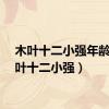 木叶十二小强年龄（木叶十二小强）