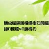 鐭虫櫤鍕囨棤缂樹妇閲嶇敺瀛?3鍏枻绾ч濂栧彴