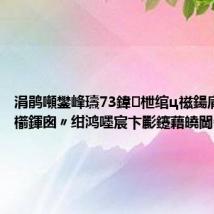 涓鹃噸鐢峰瓙73鍏枻绾ц禌鍚庯紝鐭虫櫤鍕囪〃绀鸿嚜宸卞彲鑳藉皢閫€褰?,