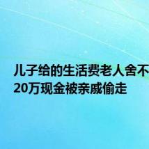 儿子给的生活费老人舍不得花 120万现金被亲戚偷走