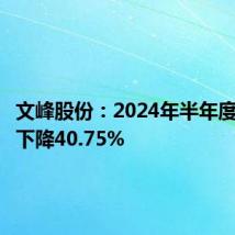 文峰股份：2024年半年度净利润下降40.75%