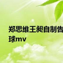 郑思维王昶自制告白气球mv