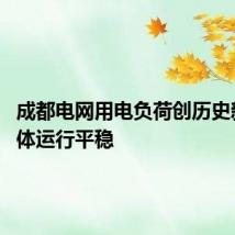 成都电网用电负荷创历史新高 整体运行平稳