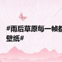 #雨后草原每一帧都美成壁纸#