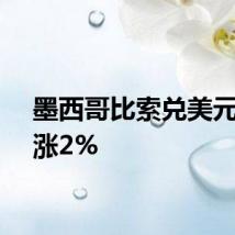 墨西哥比索兑美元日内涨2%
