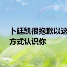 卜廷凯很抱歉以这样的方式认识你