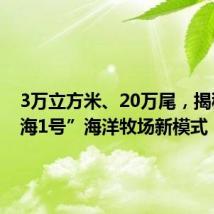 3万立方米、20万尾,揭秘“耕海1号”海洋牧场新模式