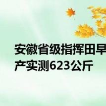 安徽省级指挥田早稻亩产实测623公斤