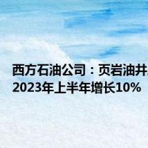 西方石油公司：页岩油井成本较2023年上半年增长10%