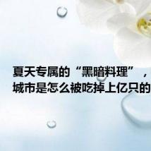 夏天专属的“黑暗料理”,在这座城市是怎么被吃掉上亿只的?