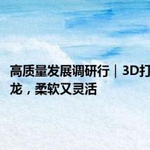 高质量发展调研行｜3D打印小钢龙，柔软又灵活