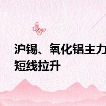 沪锡、氧化铝主力合约短线拉升