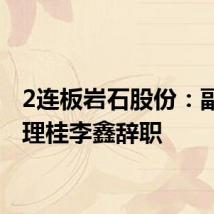 2连板岩石股份：副总经理桂李鑫辞职
