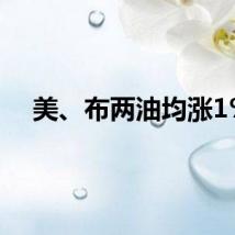 美、布两油均涨1%