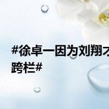 #徐卓一因为刘翔才练的跨栏#