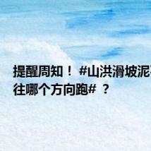 提醒周知! #山洪滑坡泥石流要往哪个方向跑# ?