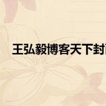 王弘毅博客天下封面