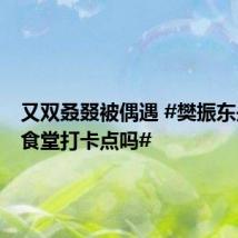 又双叒叕被偶遇 #樊振东是什么食堂打卡点吗#