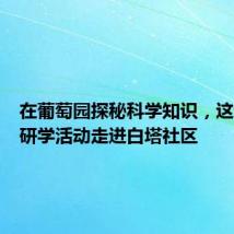 在葡萄园探秘科学知识,这场亲子研学活动走进白塔社区