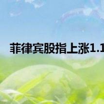 菲律宾股指上涨1.1%