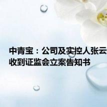 中青宝:公司及实控人张云霞女士收到证监会立案告知书
