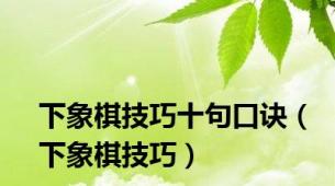 下象棋技巧十句口诀（下象棋技巧）