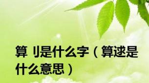 算刂是什么字（算逑是什么意思）