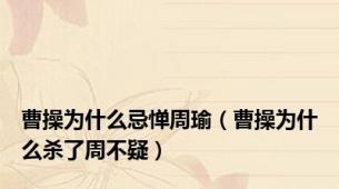 曹操为什么忌惮周瑜（曹操为什么杀了周不疑）