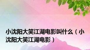 小沈阳大笑江湖电影叫什么（小沈阳大笑江湖电影）