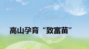 高山孕育“致富苗”