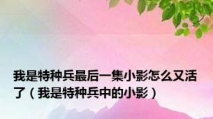 我是特种兵最后一集小影怎么又活了（我是特种兵中的小影）