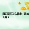 圆的面积怎么算求（圆的面积怎么算）