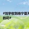 #刘宇收到南宁夏天最炫的花#