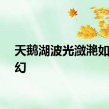 天鹅湖波光潋滟如梦似幻