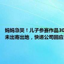 妈妈急哭!儿子参赛作品30小时仍未出寄出地,快递公司回应