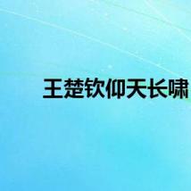 王楚钦仰天长啸
