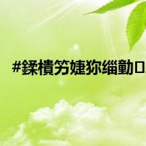 #鍒樻竻婕狝缁勭2#