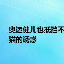 奥运健儿也抵挡不住熊猫的诱惑
