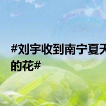 #刘宇收到南宁夏天最炫的花#