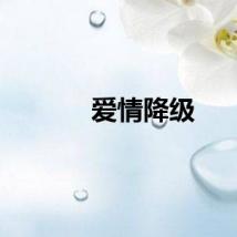 爱情降级