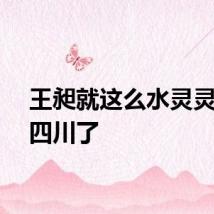 王昶就这么水灵灵的来四川了