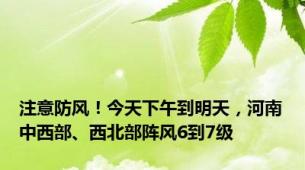注意防风！今天下午到明天，河南中西部、西北部阵风6到7级