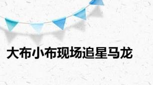 大布小布现场追星马龙