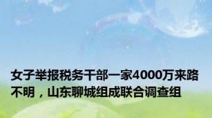女子举报税务干部一家4000万来路不明，山东聊城组成联合调查组