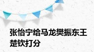 张怡宁给马龙樊振东王楚钦打分