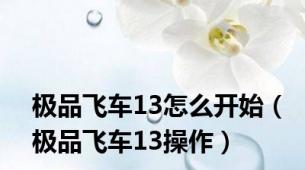 极品飞车13怎么开始（极品飞车13操作）