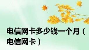 电信网卡多少钱一个月（电信网卡）